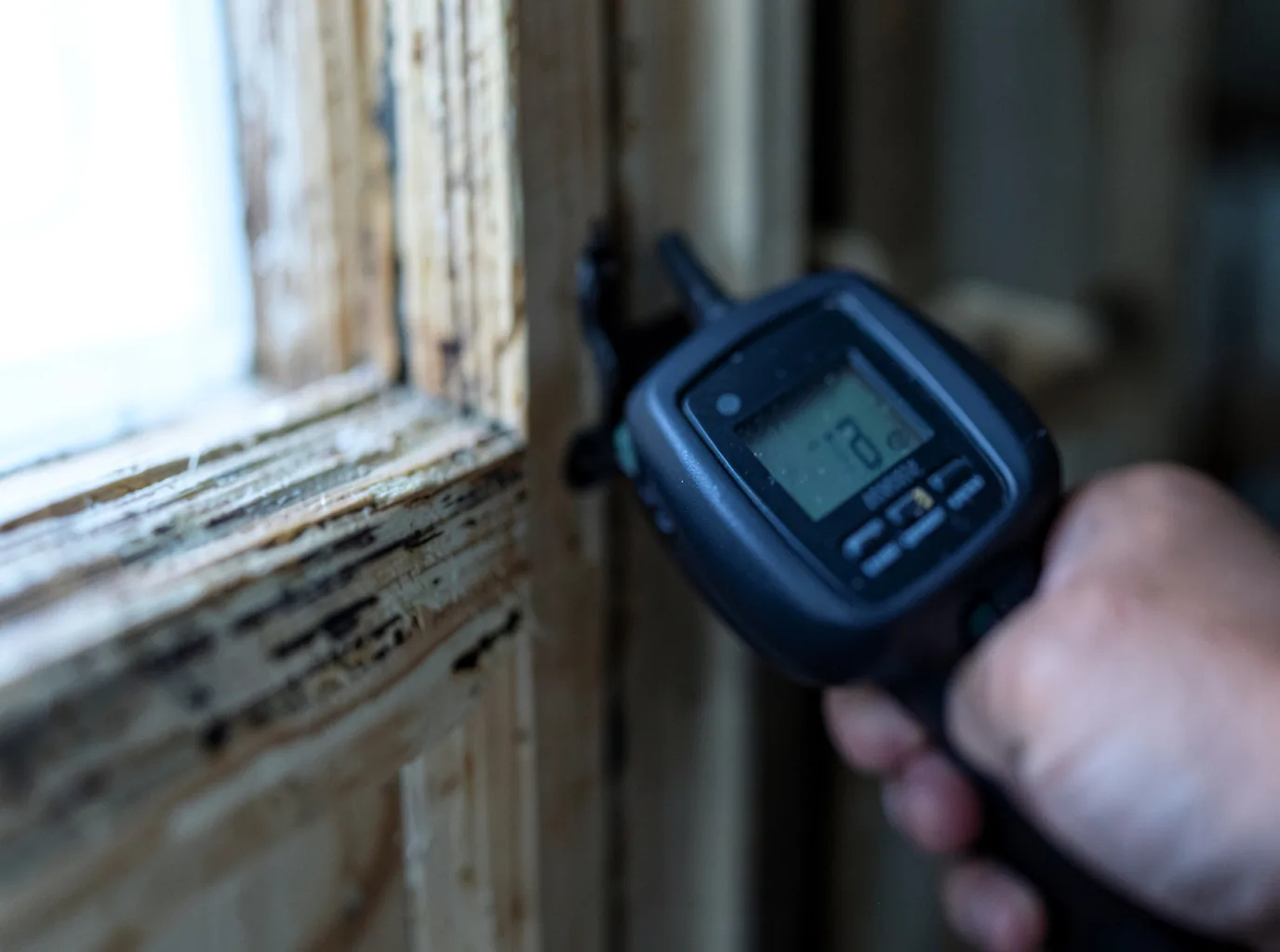 Water Damage Restoration Eastport, MI FAQs